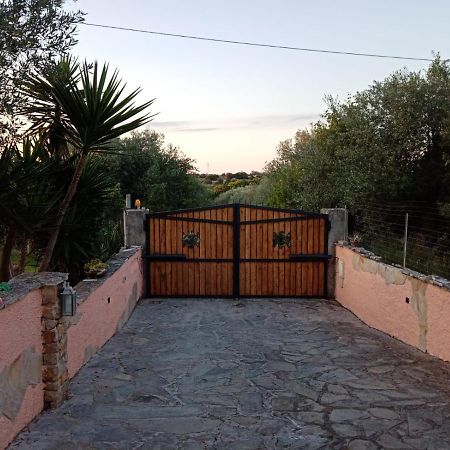 Villa Relax Tra Gli Ulivi Alghero Buitenkant foto