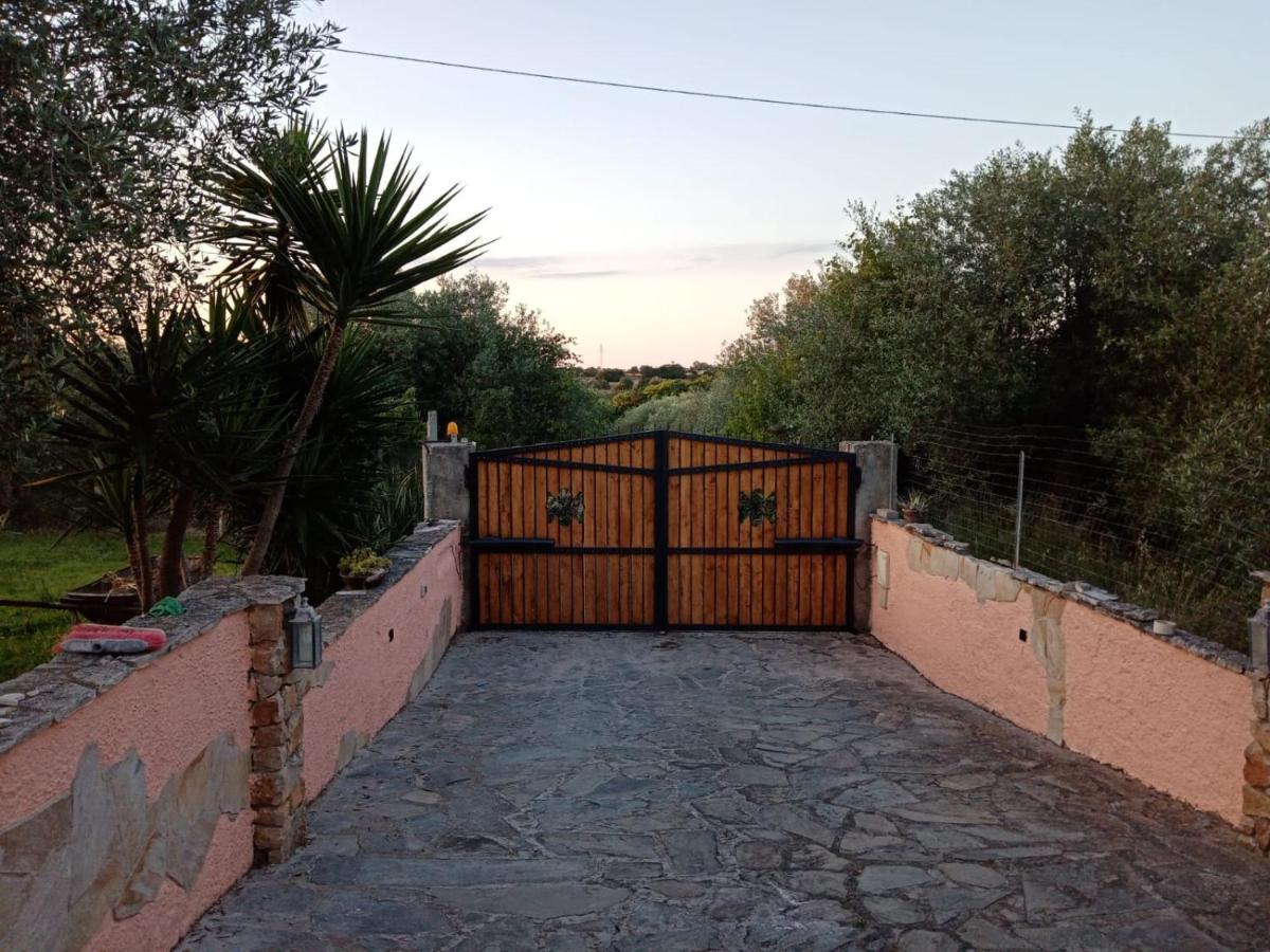 Villa Relax Tra Gli Ulivi Alghero Buitenkant foto