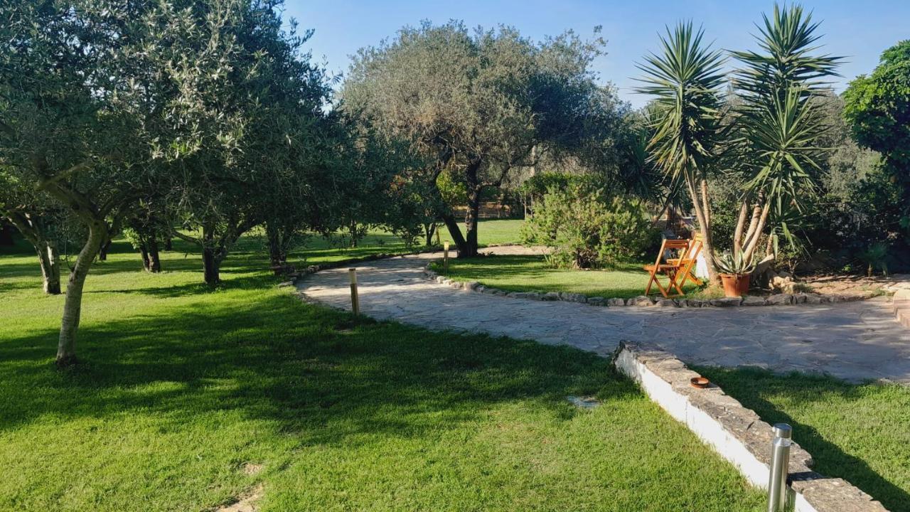 Villa Relax Tra Gli Ulivi Alghero Buitenkant foto