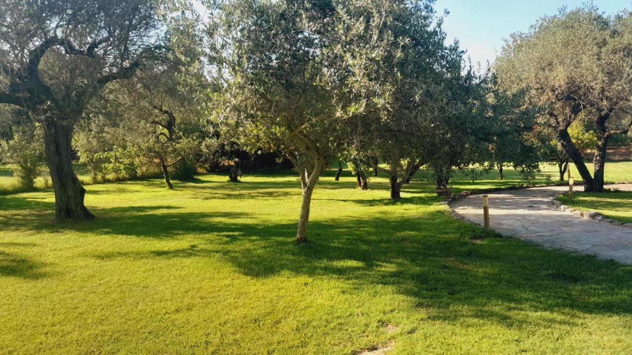 Villa Relax Tra Gli Ulivi Alghero Buitenkant foto
